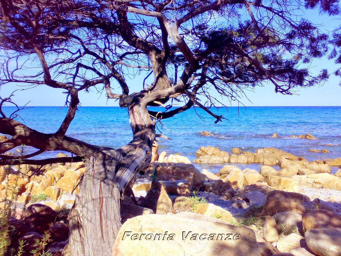 Feronia Vacanze Agenzia Viaggi Centro Escursioni Feronia Vacanze Agenzia Viaggi Centro Escursioni