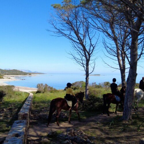 Passeggiate a Cavallo Passeggiate a Cavallo