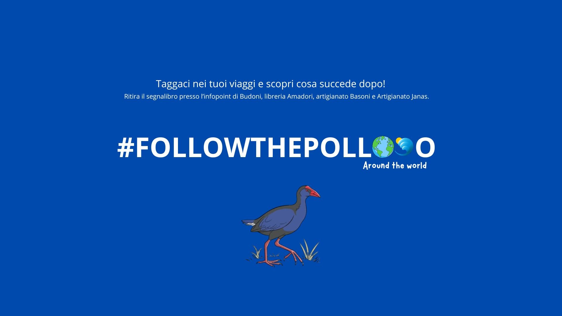 Followthepollo
