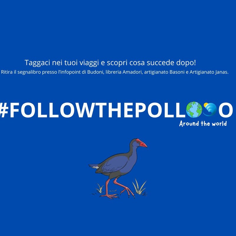 Followthepollo