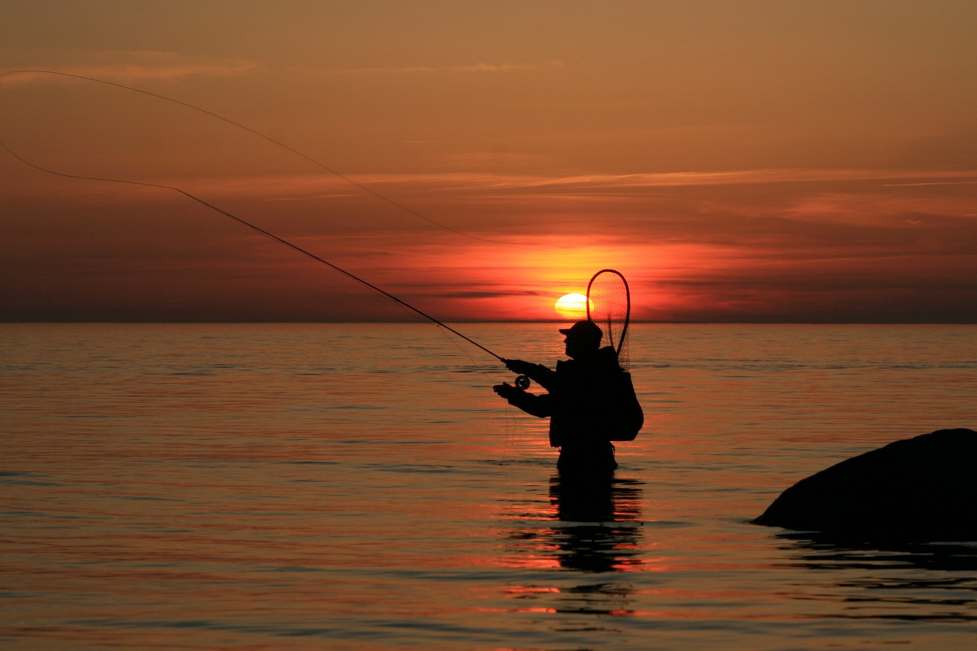 Pesca Pesca